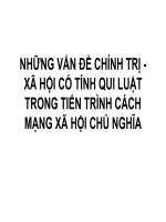 NHỮNG VẤN ĐỀ CHÍNH TRỊ - XÃ HỘI CÓ TÍNH QUI LUẬTTRONG TIẾN TRÌNH CÁCH MẠNG XÃ HỘI CHỦ NGHĨA