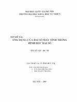 Ứng dụng của đại số máy tính trong hình học đại số