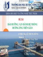 vận hành bảo dưỡng ống trên giàn