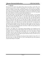 Luận văn Tổng quan về ứng dụng kỹ thuật Membrane