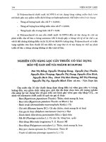 Nghiên cứu sàng lọc cây thuốc có tác dụng bảo vệ gan