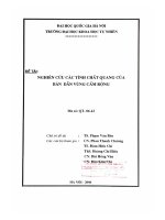 Nghiên cứu các tính chất quang của bán dẫn vùng cấm rộng.PDF