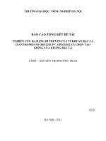 Nghiên cứu đa dạng di truyền của vi khuẩn bạc lá (Xanthomonas oryzae pv. Oryzae) và chọn tạo giống lúa kháng bạc lá Báo cáo tông hop