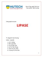 Công Nghệ Enzyme Lipase Le Tri Kieng