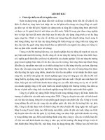 Một số giải pháp nhằm mở rộng thị trường tiêu thụ sản phẩm gạch nung của công ty cổ phần xây dựng Miền Đông