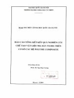 Nghiên cứu chế tạo vật liệu ma sát (VLMS) trên cơ sở các hệ polime - compozit