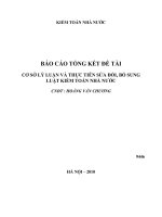 Báo cáo khoa hoc Cơ sở lý luận và thực tiễn sửa đổi, bổ sung Luật Kiểm toán Nhà nước