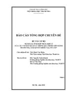 Đánh giá tính hợp pháp, hợp lý của các văn bản quản lý trong quá trình tiến hành thanh tra, giải quyết khiếu nại, tố cáo - Các chuyên đề nghiên cứu