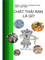 tiểu luận chất thải rắn là gì