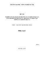 Nghiên cứu đa dạng di truyền của vi khuẩn bạc lá (Xanthomonas oryzae pv. Oryzae) và chọn tạo giống lúa kháng bạc lá