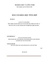 Luận cứ và giải pháp phát triển nguồn nhân lực ở vùng dân tộc thiểu số nước ta đáp ứng yêu cầu đẩy mạnh công nghiệp hoá, hiện đại hóa