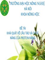 KHÁI QUÁT VỀ CẤU TẠO VÀ CHỨC NĂNG CỦA PROTEIN MÀNG