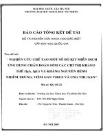 Nghiên cứu chế tạo một số bộ kit miễn dịch ứng dụng chẩn đoán sớm các chỉ thị kháng thể ( IgA, IgG ) và kháng nguyên bệnh nhiễm trùng, viêm gan virus và ung thư gan