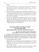 Tác dụng chống oxy hóa in vitro của rau đắng biển (Bacopa Monnieri (L.) Wettst, Scrophulariaceae