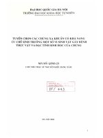 Tuyển chọn các chủng xạ khuẩn có khả năng ức chế sinh trưởng một số vi sinh vật gây bệnh thực vật và đặc tính sinh học của chúng tt