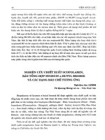 Nghiên cứu chiêt xuất Scopolamin, bán tổng hợp Hyoscin n-butyl bromid và các dạng bào chế tương ứng