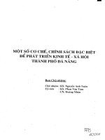 Một số cơ chế, chính sách đặc biệt để phát triển kinh tế - xã hội thành phố Đà Nẵng