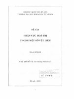 Phân cực hóa trị trong một số vật liệu tt