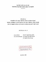 Nghiên cứu đặc trưng chất lượng ngọc ruby, saphir và xây dựng các quy trình công nghệ xử lý nhiệt nâng cấp chất lượng đá quý Việt Nam