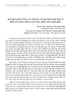 Kết quả bảo tồn cây thuốc cổ truyền dân tộc ở một số cộng đồng dân tộc miền núi phía Bắc