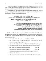 Nghiên cứu cây Đương quy (Angelica Acutiloba Kit.) di thực làm thuốc điều trị thiểu năng tuần hoàn não (Đề tài nhánh ĐLNN - 01