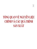 tổng quan về nguyên liệu chính và các quá trình sản xuất khí tổng hợp
