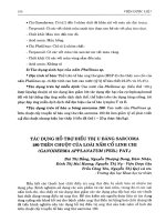 Tác dụng hỗ trợ điều trị u báng Sarcoma 180 trên chuột của loài nấm cổ Linh Chi (Ganoderma Applanatum