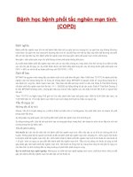 Bệnh học bệnh phổi tắc nghẽn mạn tính