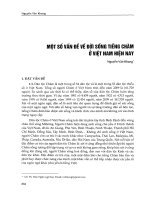 Một số vấn đề về đời sống tiếng Chăm ở Việt Nam hiện nay