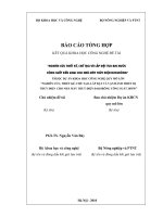 Nghiên cứu thiết kế, chế tạo và lắp đặt tuabin nước công suất đến 6 Mw cho Nhà máy Đắksrông