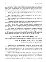 Tác dụng bảo vệ gan của sâm Việt Nam trong tổn thương gan thực nghiệm bằng ethanol