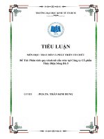 Phân tích quy trình tái cấu trúc tại Công ty Cổ phần Thủy Điện Sông Đà 5