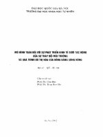 Mô hình toán đối với sự phát triển kinh tế dưới tác động của sự thay đổi môi trường và quá trình đô thị hoá của đồng bằng sông Hồng