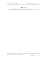 Tình hình quản lý vốn chủ sở hữu tại Ngân hàng Liên Doanh Lào – Việt chi nhánh tại Hà Nội