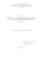 Nghiên cứu tác dụng của sóng siêu âm chống kết tập các hạt vô cơ nhỏ trong môi trường nước