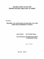 Tìm hiểu các Enzym bảo vệ ôxi hoá của nấm linh chi Ganoderma Lucidum