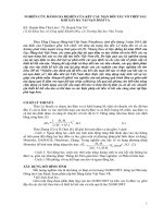 Nghiên cứu đánh giá độ bền của kết cấu mạn đôi tàu vỏ thép sau khi xảy ra tai nạn đâm va