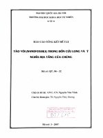 Tảo vôi ( Nanofossils ) trong bồn Cửu Long và ý nghĩa địa tầng của chúng