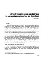 Cập nhật thông tin nghiên cứu để đáp ứng yêu cầu dạy và học ngôn ngữ các dân tộc thiểu số