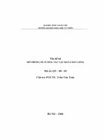 Mô phỏng số tương tác vật rắn - chất lỏng