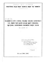 Nghiên cứu công nghệ tách antimon và một số kim loại quý trong quặng antimon nghèo Việt Nam