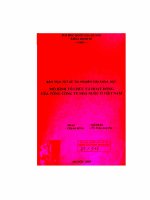 Mô hình tổ chức và hoạt động của tổng công ty Nhà nước ở Việt Nam