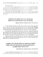 Nghiên cứu phòng trừ sâu, bệnh hại trên cây cà độc dược (Datura metel