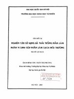 Nghiên cứu sử dụng bã thải trồng nấm làm phân vi sinh góp phần làm sạch môi trường
