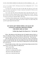 Xây dựng quy trình trồng cây Bạch chỉ (Angelica Dahurica benth et Hook) cho dược liệu an toàn