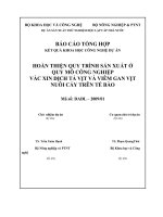 Hoàn thiện quy trình sản xuất ở quy mô công nghiệp vắc-xin dịch tả vịt và viêm gan vịt nuôi cấy trên tế bào