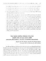 Tác dụng chống stress của cao chiết cồn từ rau đắng biển (Bacopa Monnieri (L.) Wettst, Scrophulariaceae