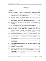 Các biện pháp nâng cao hiệu quả sử dụng vốn tại Chi nhánh Công ty Cổ phần Vinh Hưng