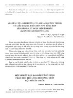 Nghiên cứu ảnh hưởng của khoảng cách trồng và liều lượng phân bón NPK tổng hợp lên năng suất dược liệu Ích Mẫu (Leonurus Heterophyllus