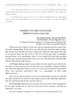 Nghiên cứu một loài Ô Đầu trồng ở Sapa (Lào Cai